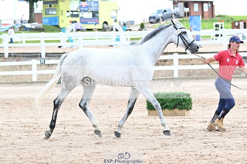 240717A-143913-02164 - Trot Up 2pm to 3pm - This folder is not in time order