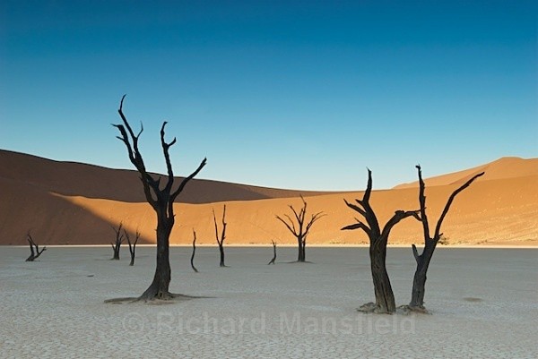 Dead Vlei, Namibia - Namibia