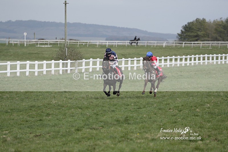 PtP 260323 1002 - New Forest Hounds Point-to-Point Larkhill 26/03/23