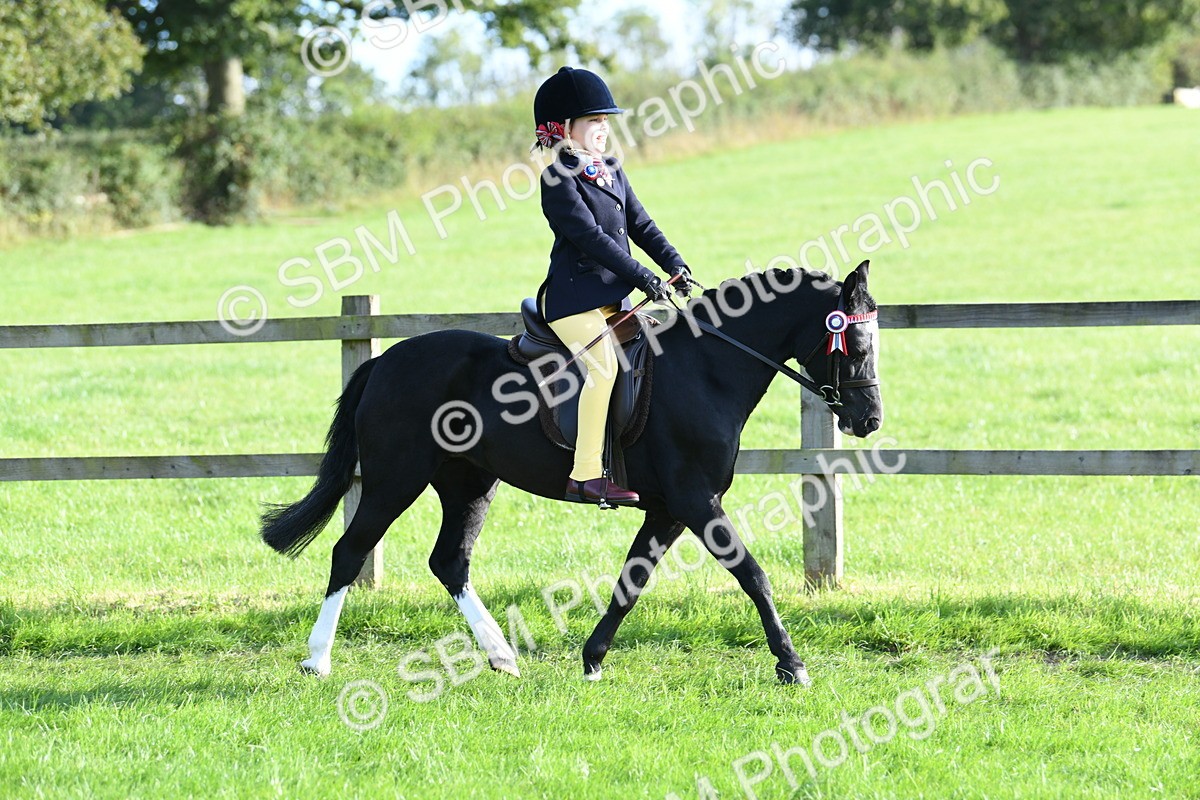 SBM_52390 - S22 - 1st Ridden Show & Show Hunter Pony