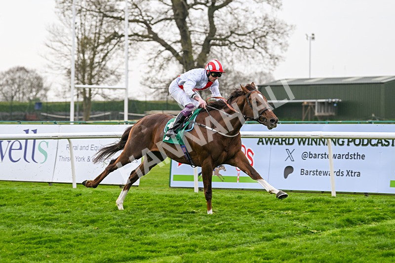 120425-Race 5-Majestic Warrior-1338 - Race 5