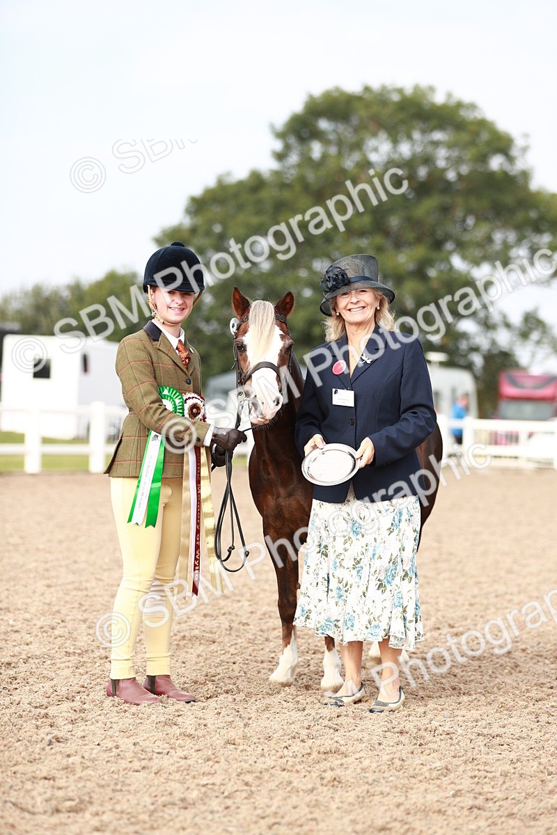 SBM_10616 - Class 204 Young Handler, 11-16 years