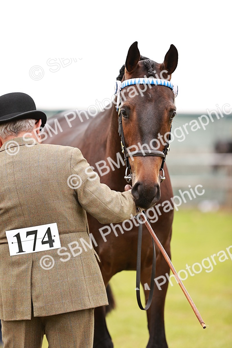 SBM_04770 - Class 35-38 Riding Horse Breeding