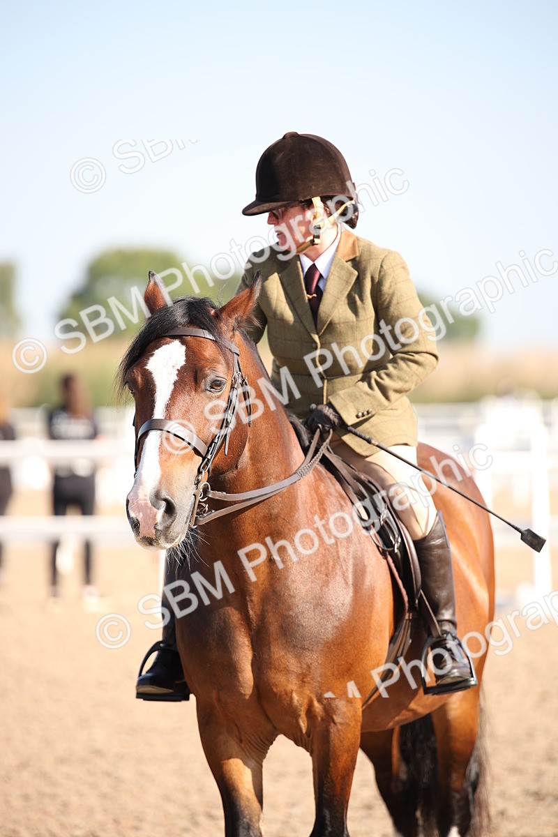 SBM_00751 - Class 14 Ridden M&M Wildcard