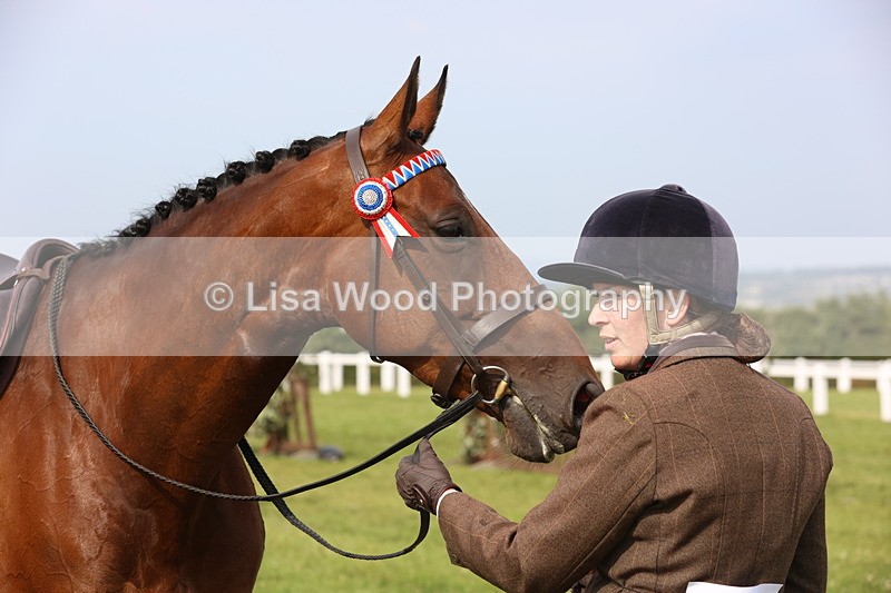 JPP_4289 - Class 25: Working Show Horse