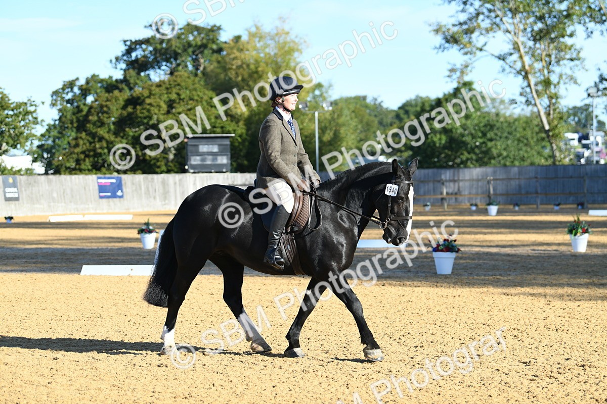 SBM_16073 - D4 - Small Tour Championship - Intro B