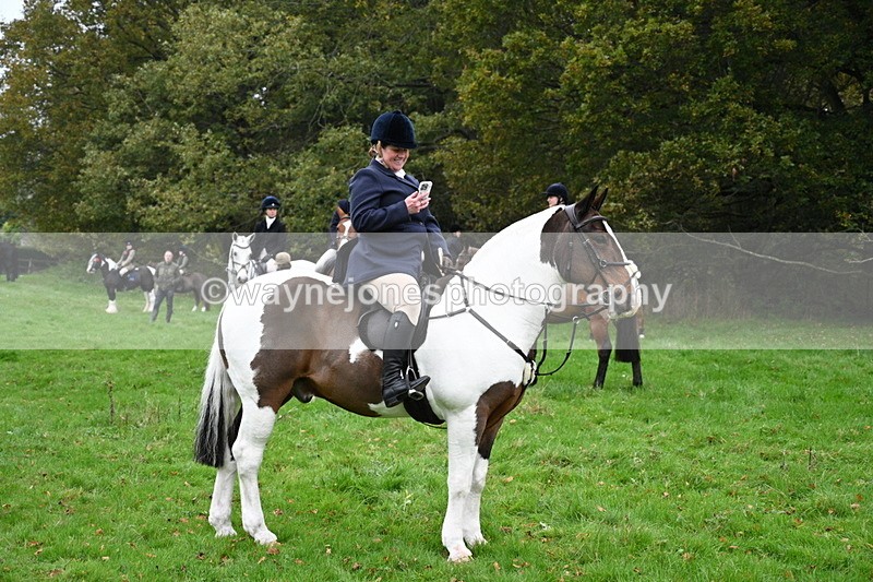 WJ7_7408 - The Meet