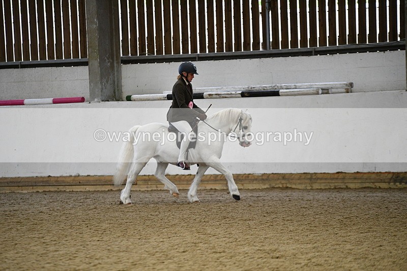 WJ5_6485 - Class 9 Ridden Veteran