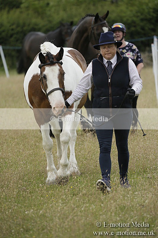 B230619-0238 - Bourne Valley Riding Club Summer Show 23/06/19