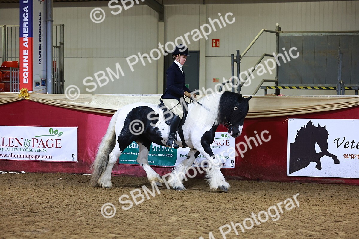SBM_14950 - Class M - Equitation Champ