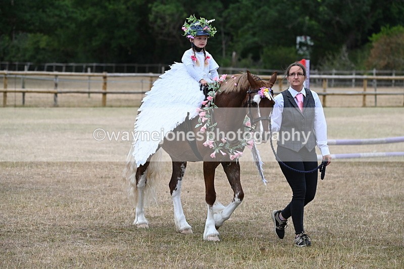 WJ6_8602 - Class 11 Fancy Dress
