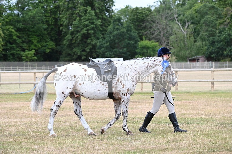 WJ6_4080 - Class 9 Tack & Turnout