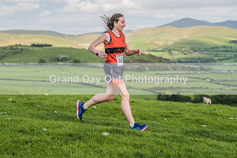 Hay-O-711 - Hay O Trail Race Tuesday 23rd May 2023