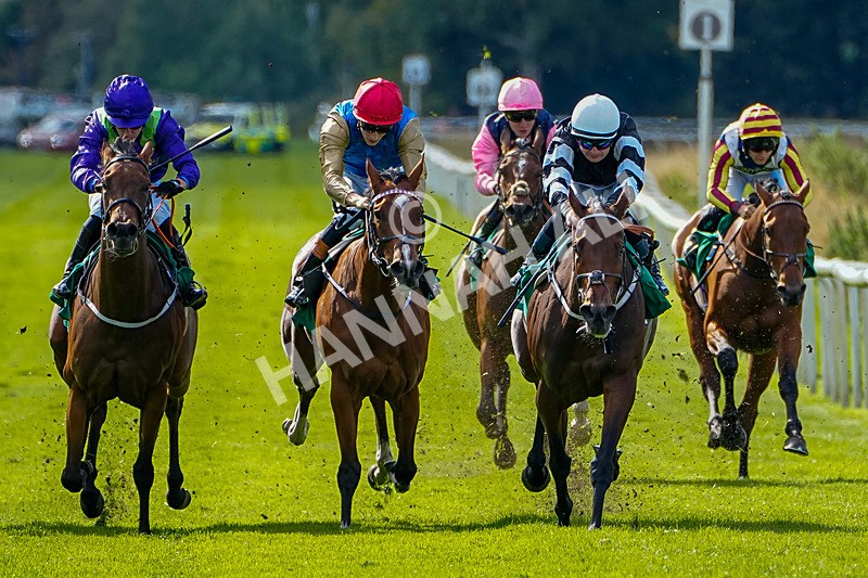 050926-Race 4-Oolong Poobong-2 - Race 4 3.15pm British Stallion Studs EBF Fillies' Handicap