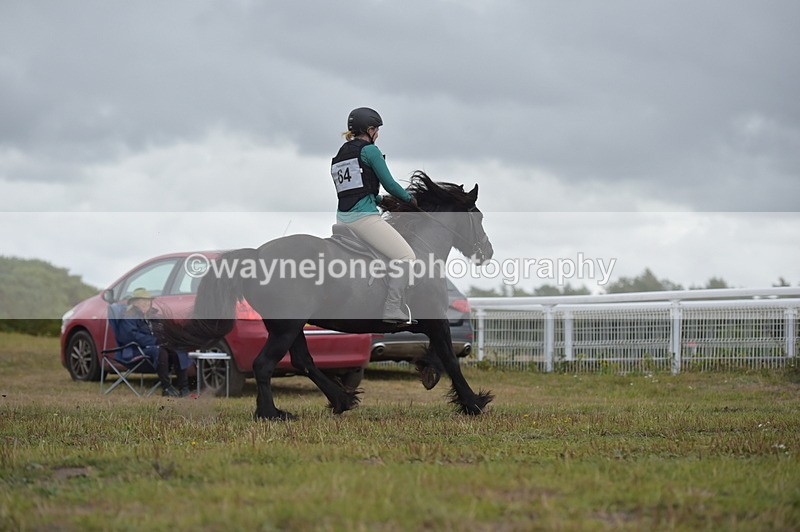 NGP_2782 - XC Time 11:37 to 11:57