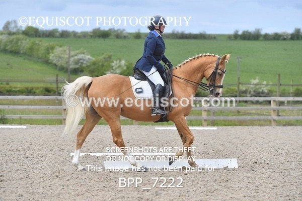 BPP_7222 - 3 D HARRISON