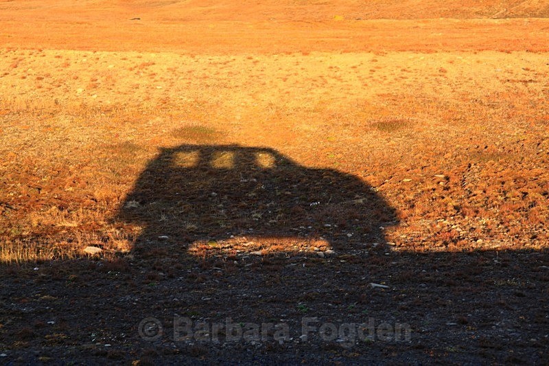 Shadow 0108 - Autumn