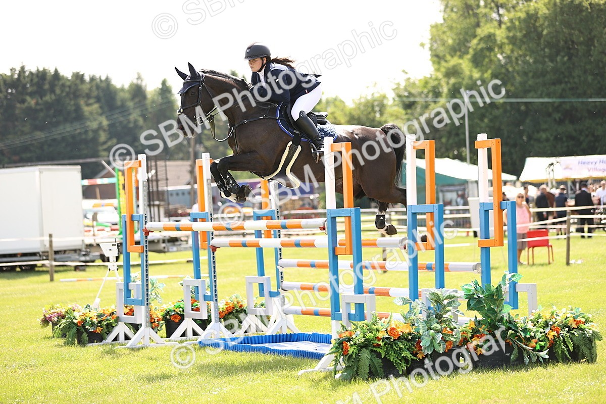SBM_03080 - Class 201 - British Horse Feedds Speedi Beet HOYS Grade C