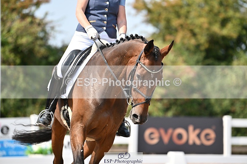 250816-131300-04606 - 092-Nikki.HandHigher.Ground