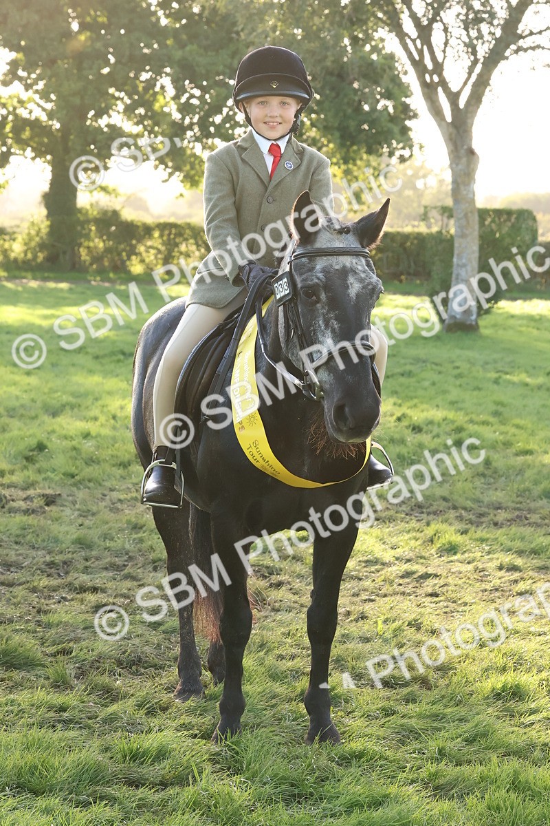 SBM_53100 - S29 - Mature Veteran Ridden