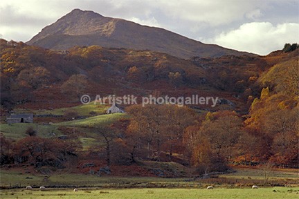Moel Siabod in autumn 1 - Sceniks.com - Snowdonia landscape photographs by Dave O'Shea