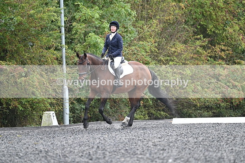 WJ7_4080 - Time 11:43 to 12:09