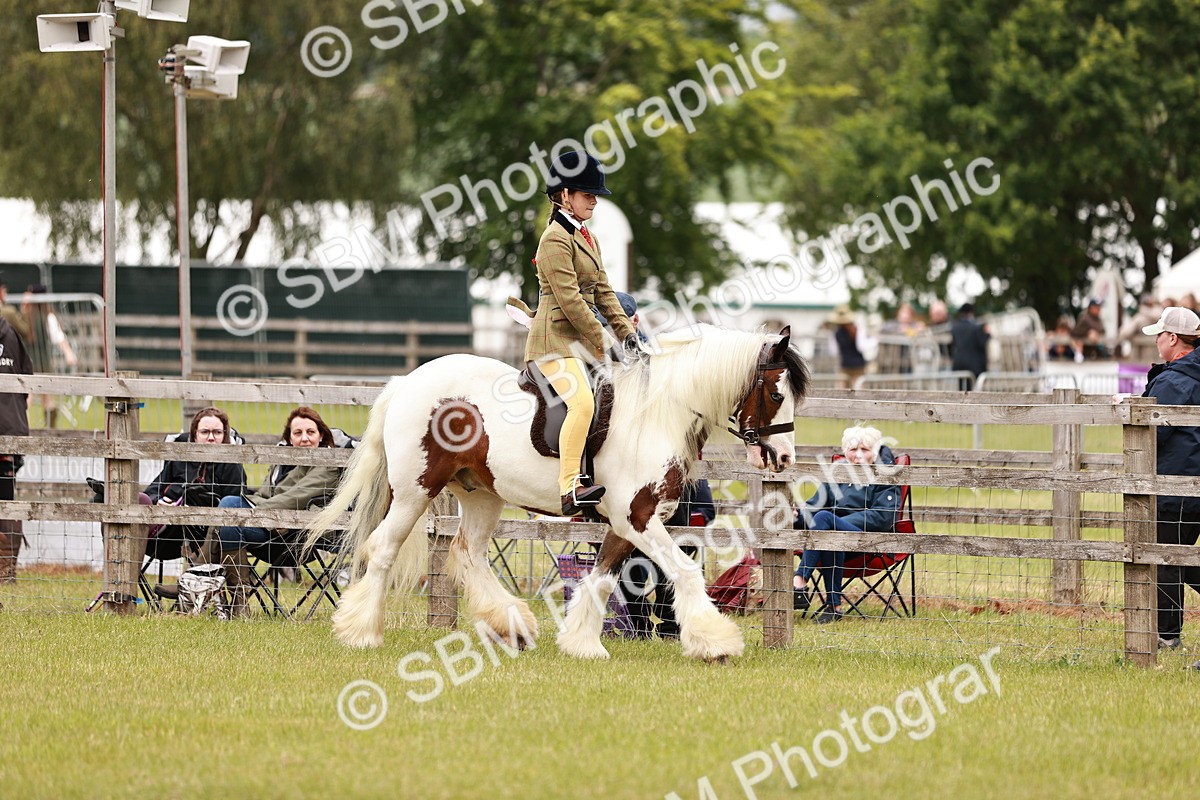 SBM_06196 - Class 39-41 TGCA In Hand and Ridden