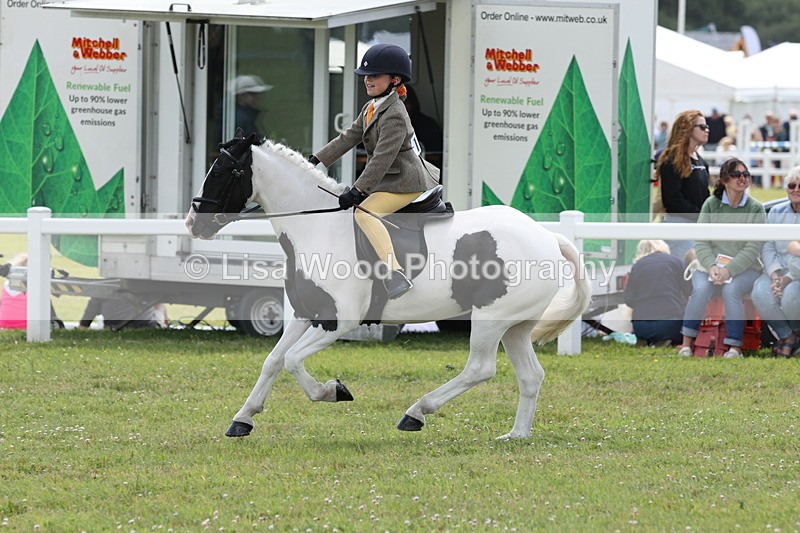 JPP_2009 - Class 18: Tiny Tots Working Hunter Pony