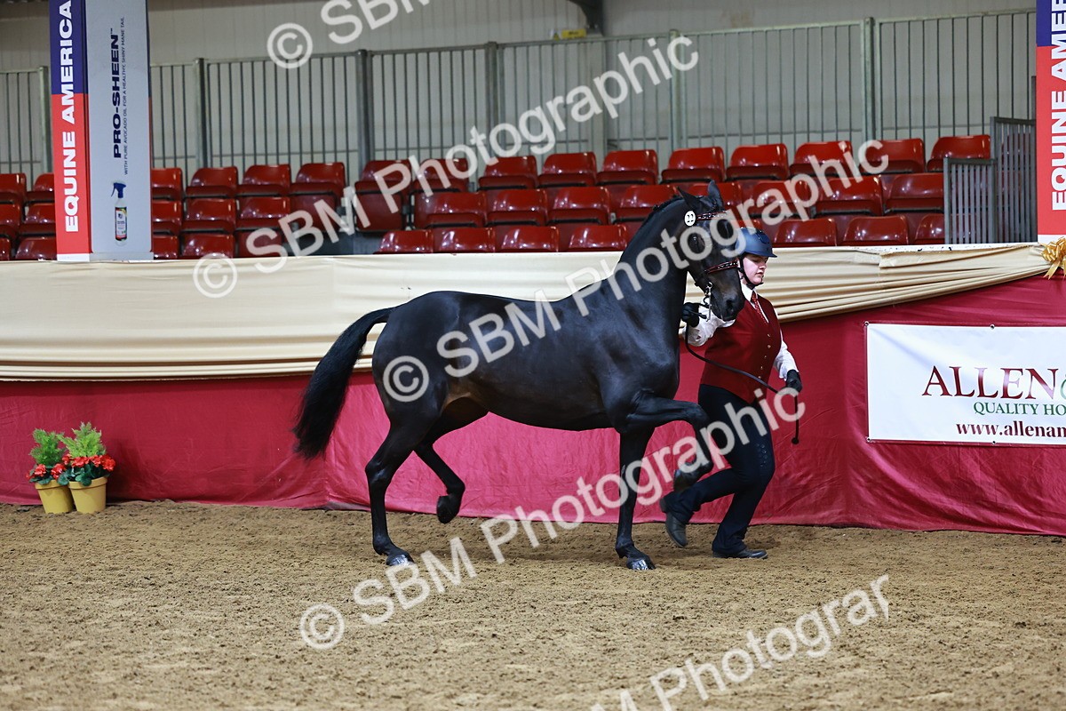 SBM_22162 - Class 902 - Supreme Final - IH Diamond