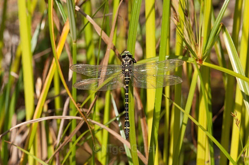 End of season - Wildlife