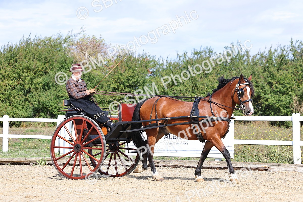 SBM_000856 - Class 8 - Novice Horse or Pony to any vehicle