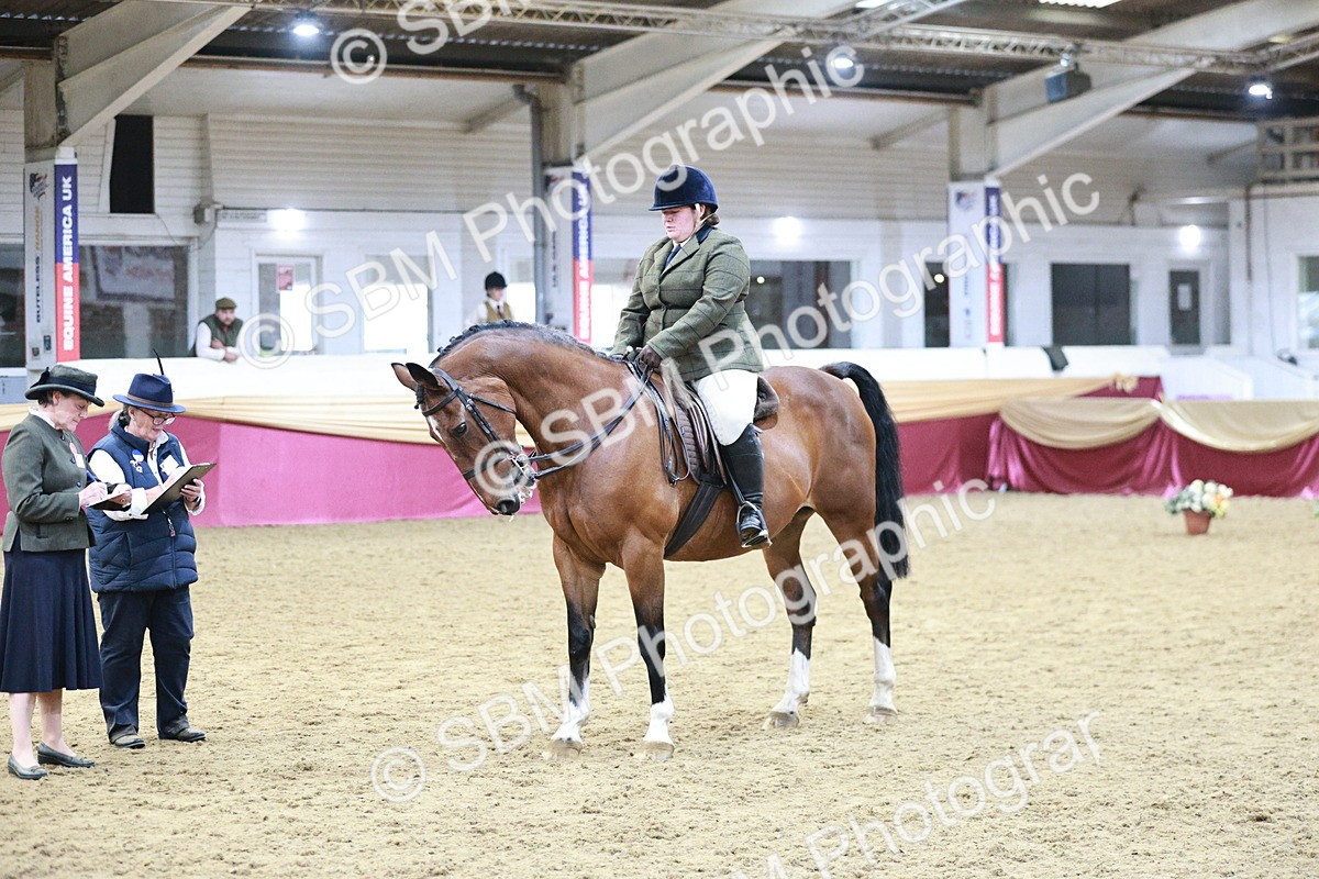 SBM_08196 - Class 11R - Regional Ridden Veteran