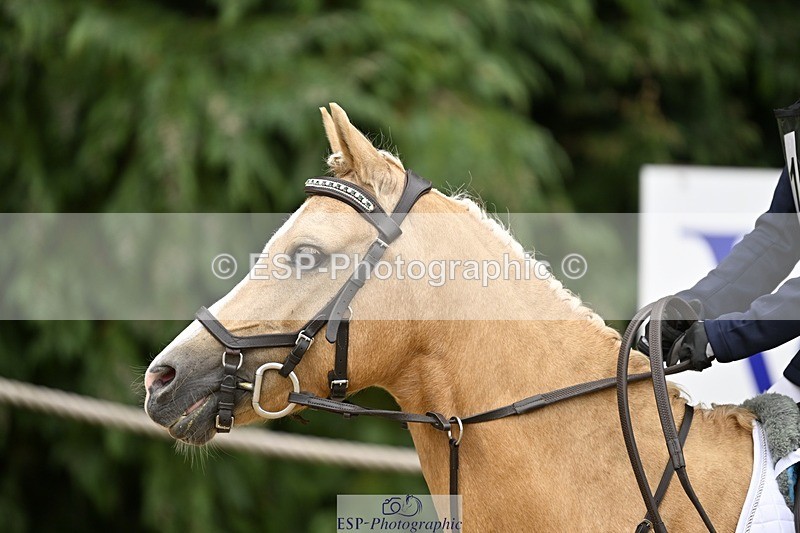 250820A-120331-04062 - Round 1, 11am to End