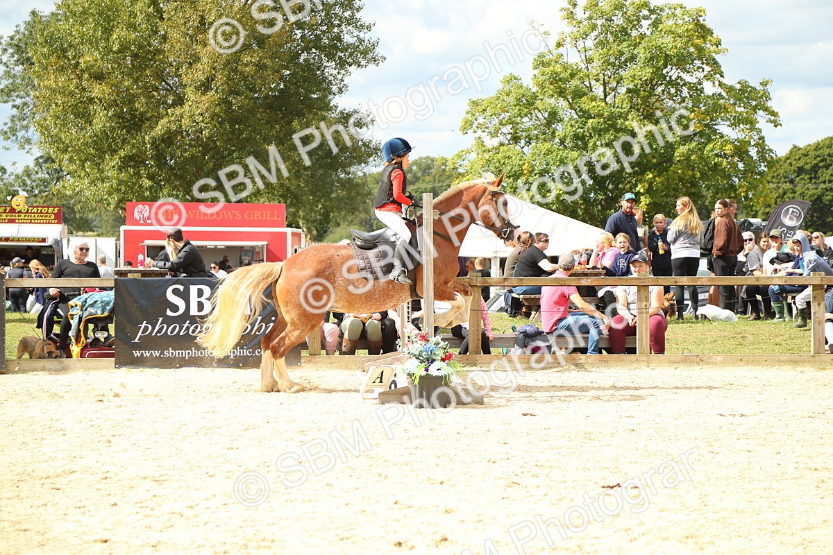 SBM_41360 - J6 - Junior Pony 55cm Championships