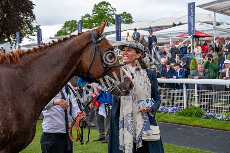140526-Race 5-Item-1584 - Race 5 4.05pm Al Basti Equiworld Dubai Dante Stakes