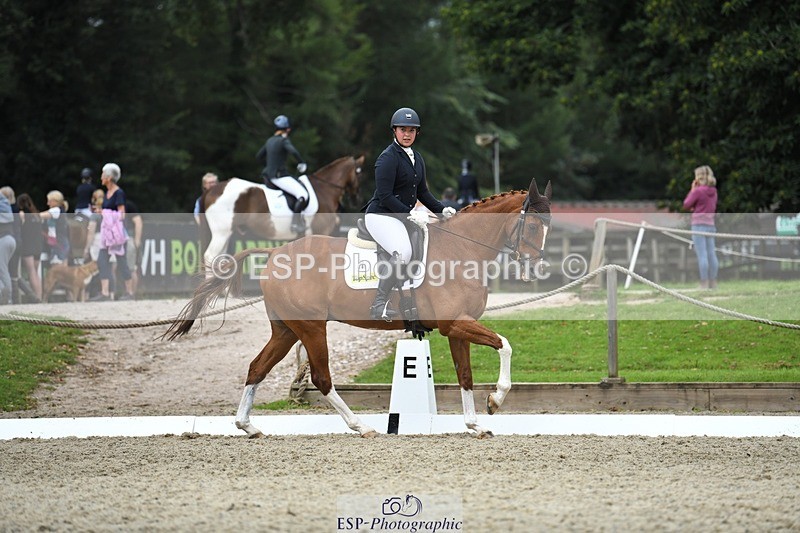 230812-122305-04104 - Cls 6 Novice Silver 12.10 to End