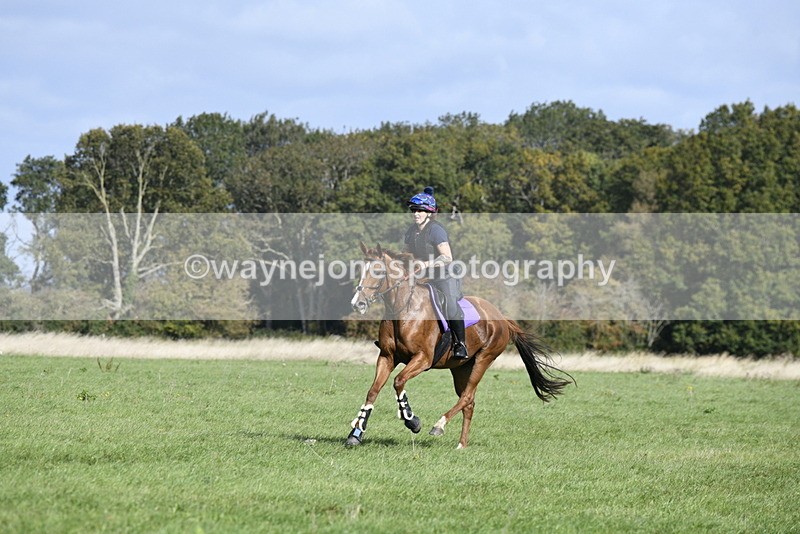 _DSC6217 - Time 11:23 to 12:05