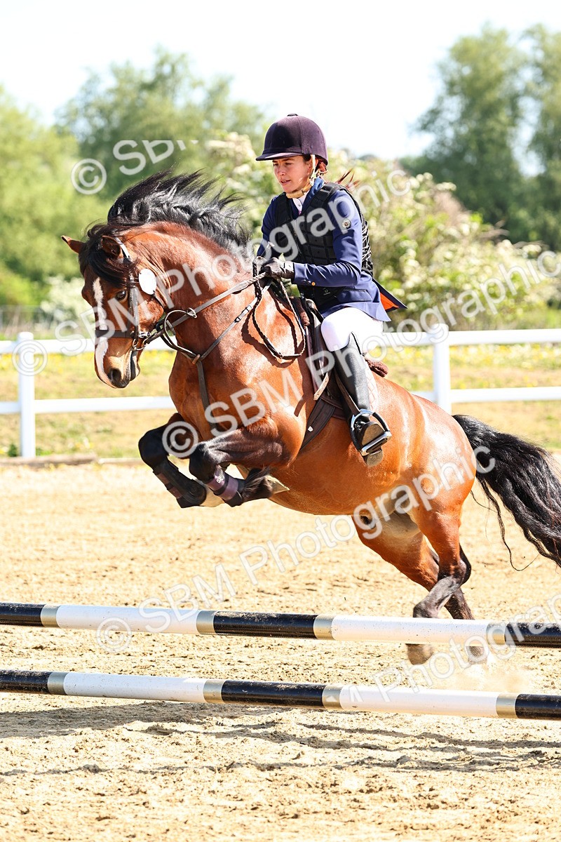 SBM_006637 - Class 3 - 60cm