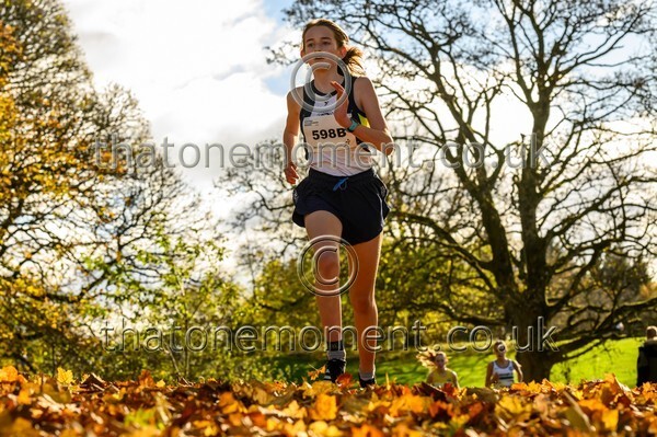 NatRel25-913595 - Young Female Set Two