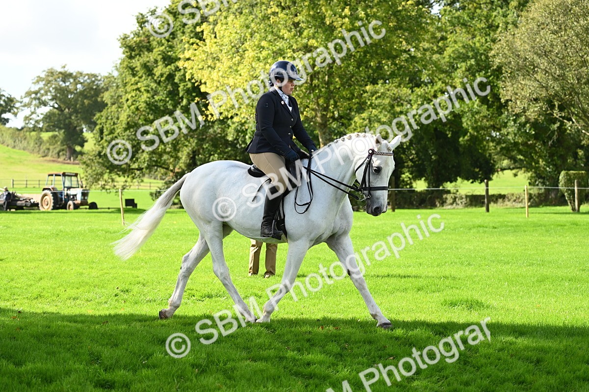 SBM_01490 - S2 - TSR Ridden Horse Showing