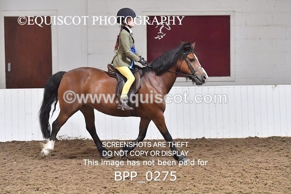 BPP_0275 - RING 1