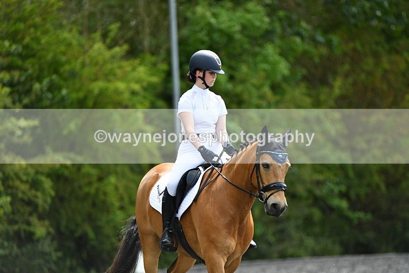 WJ5_1010 - Time 13:45 to 14:20