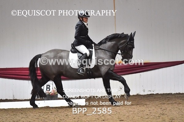 BPP_2585 - 12 - L MCKIRDY