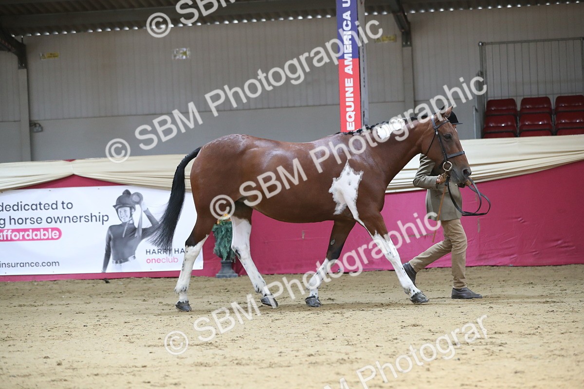 SBM_01307 - Class 3a Area IH Pre Vet