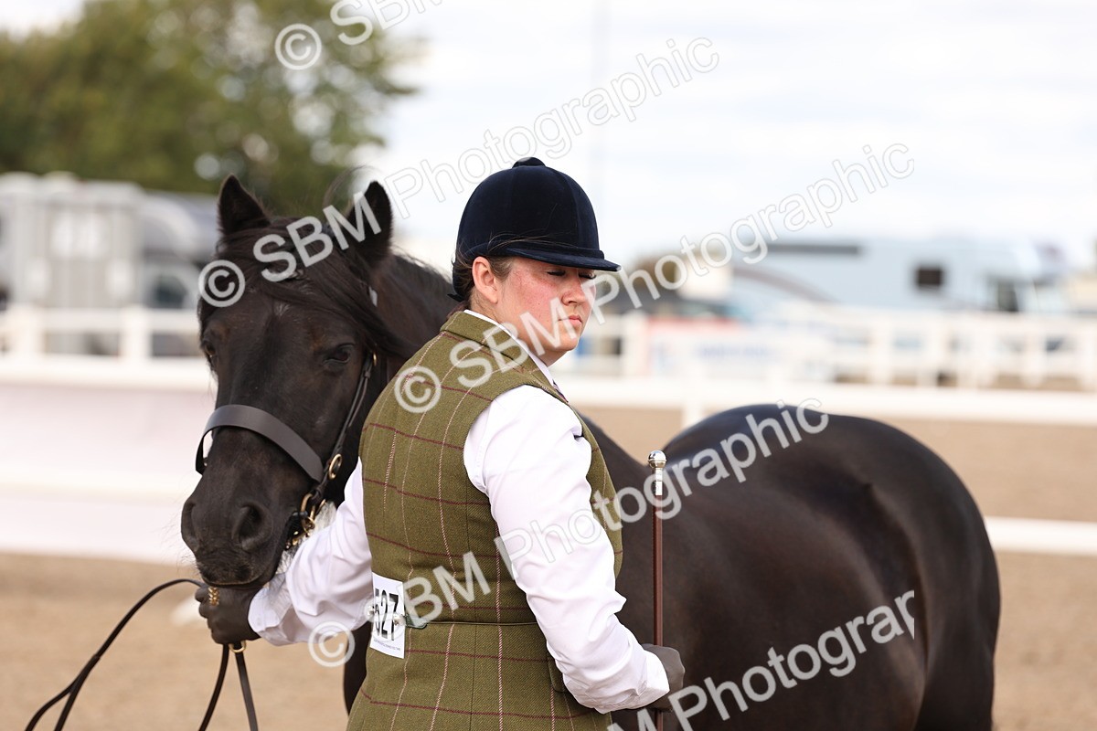 SBM_15117 - Class 209 - IH Veteran Pony