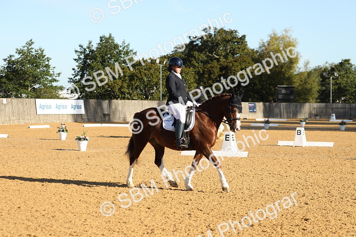 SBM_14204 - D10 - Small Tour Championship - Prelim 2