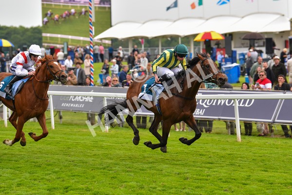 180523-Race 7-Chesspiece-9929 - Race 7 5.20pm Collective Green Energy Handicap