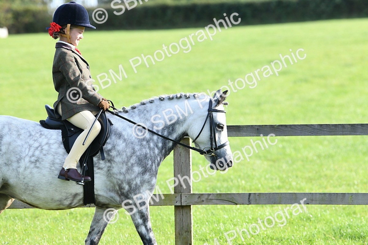 SBM_52348 - S22 - 1st Ridden Show & Show Hunter Pony
