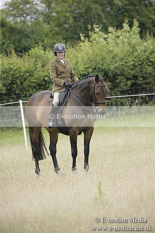 B230619-0798 - Bourne Valley Riding Club Summer Show 23/06/19