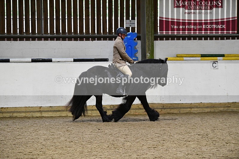 WJ5_8616 - Class 14 Novice Ridden/Rider